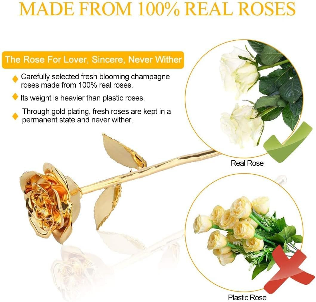 24K Gold Rose for Her, Eternal Love Real Golden Plated Preserved Eternal Rose Flower, Best Present for Anniversary Day Wife/Mom/Grandma/Women (Gold)